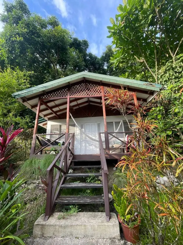 Rental in Playa Carmen