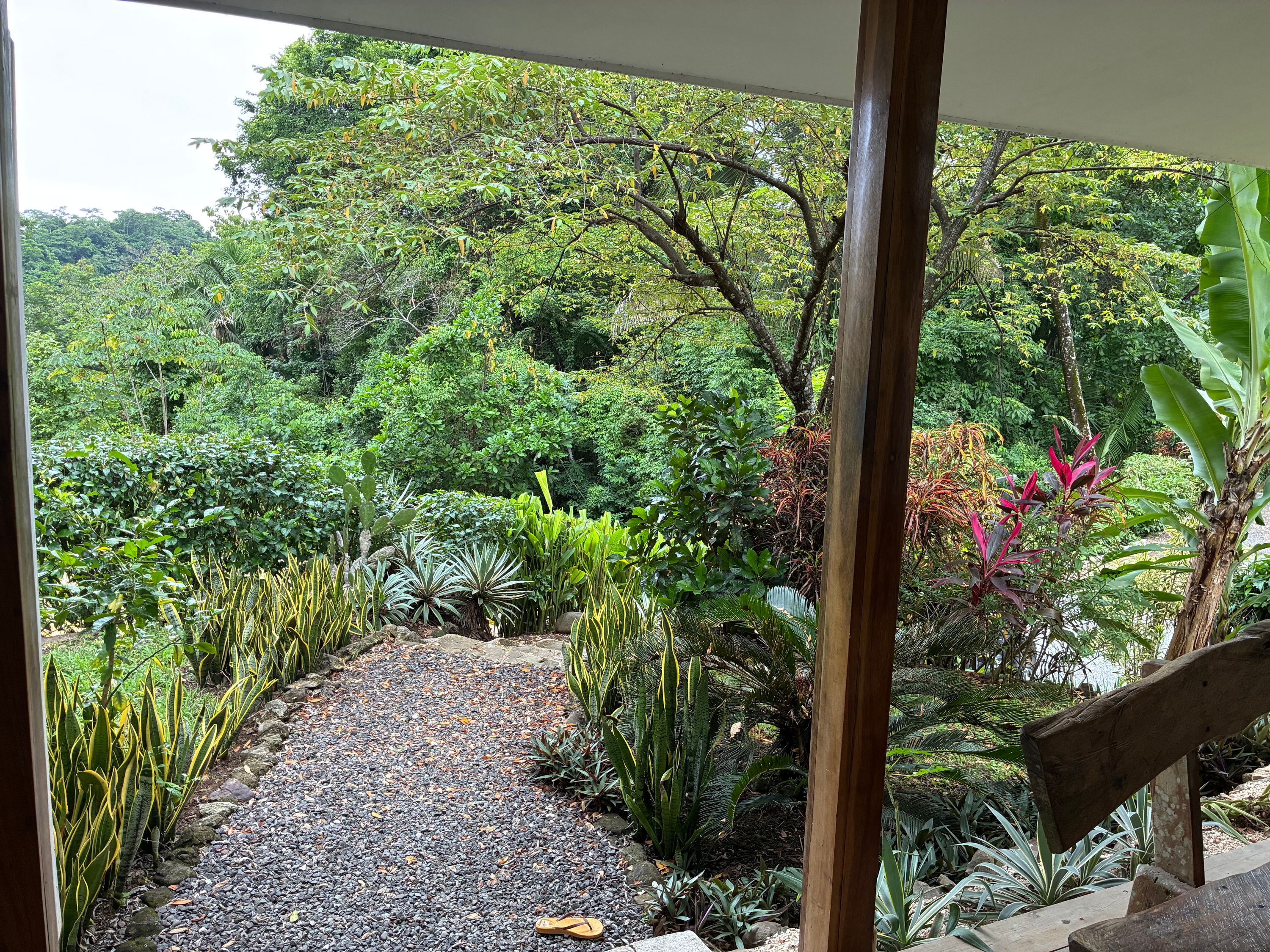 Rental in Playa Carmen