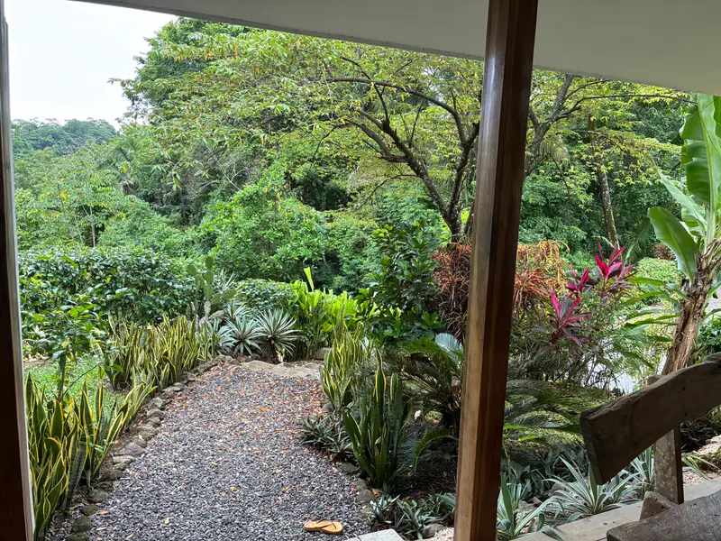Rental in Playa Carmen